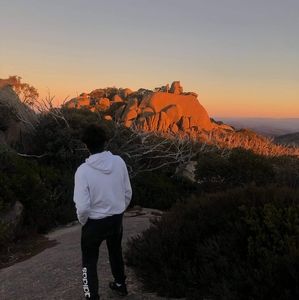 Meet your Posher, Vincent